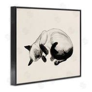 Grace Popp | Siamese Cat Nap Relaxed Pet
