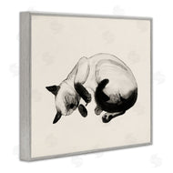 Grace Popp | Siamese Cat Nap Relaxed Pet