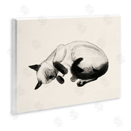 Grace Popp | Siamese Cat Nap Relaxed Pet