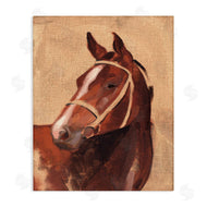 Jacob Green | Southwestern Vintage Horse Portrait