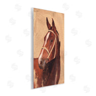 Jacob Green | Southwestern Vintage Horse Portrait