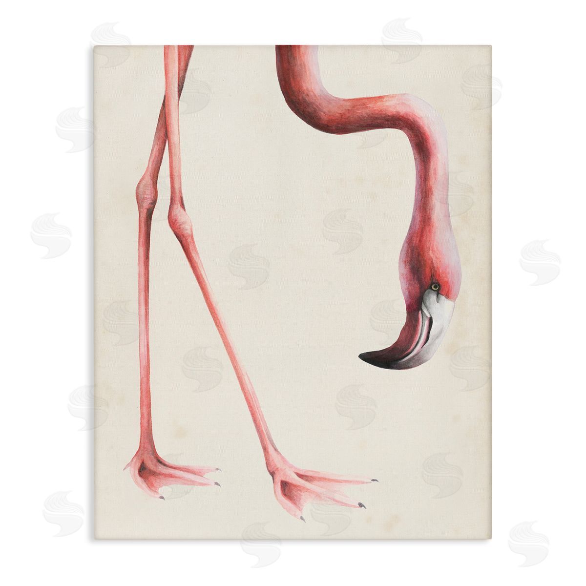 Grace Popp Flamingo Bending Feet Beak Detail Canvas Wall Art
