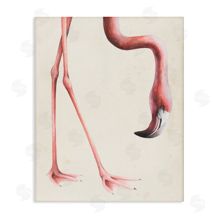 Grace Popp | Flamingo Bending Feet Beak Detail