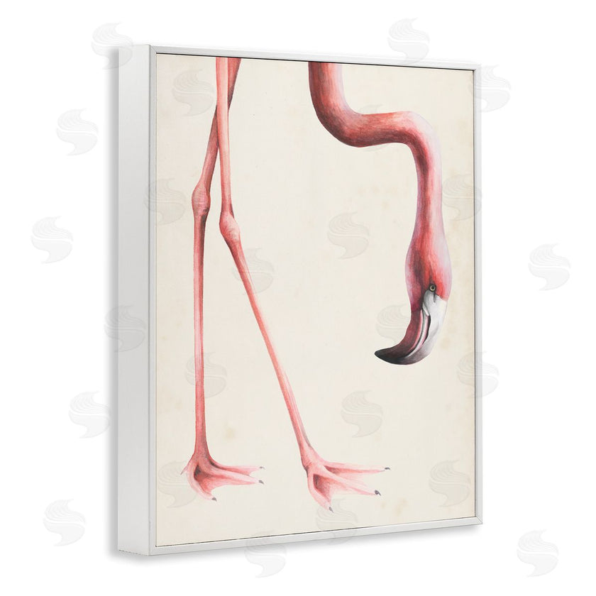 Grace Popp | Flamingo Bending Feet Beak Detail