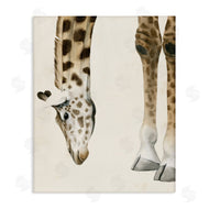 Grace Popp | Giraffe Grazing Safari Animal
