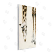 Grace Popp | Giraffe Grazing Safari Animal
