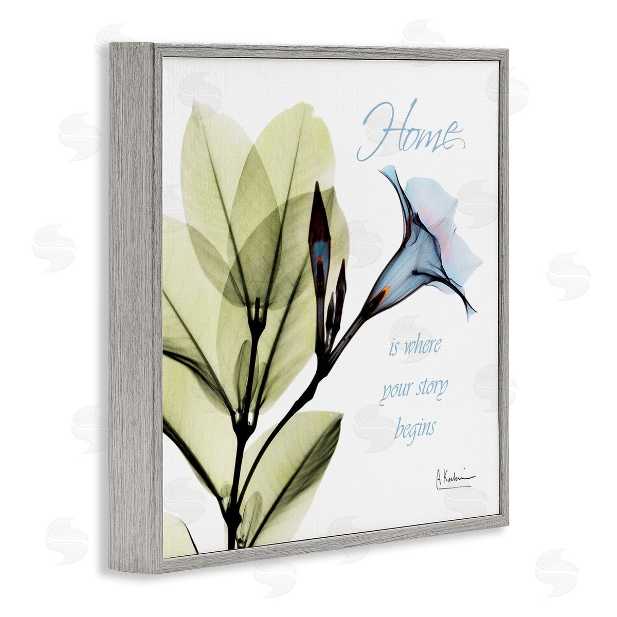 Albert Koetsier Your Story Begins Blue Floral Gray Framed Giclee Wall Art