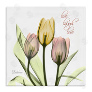 Albert Koetsier | Live Laugh Love Tulips