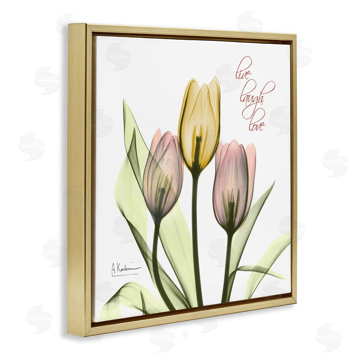 Live Laugh Love Tulips Gold Floating Frame Canvas Wall Art, Home Decor by Albert Koetsier