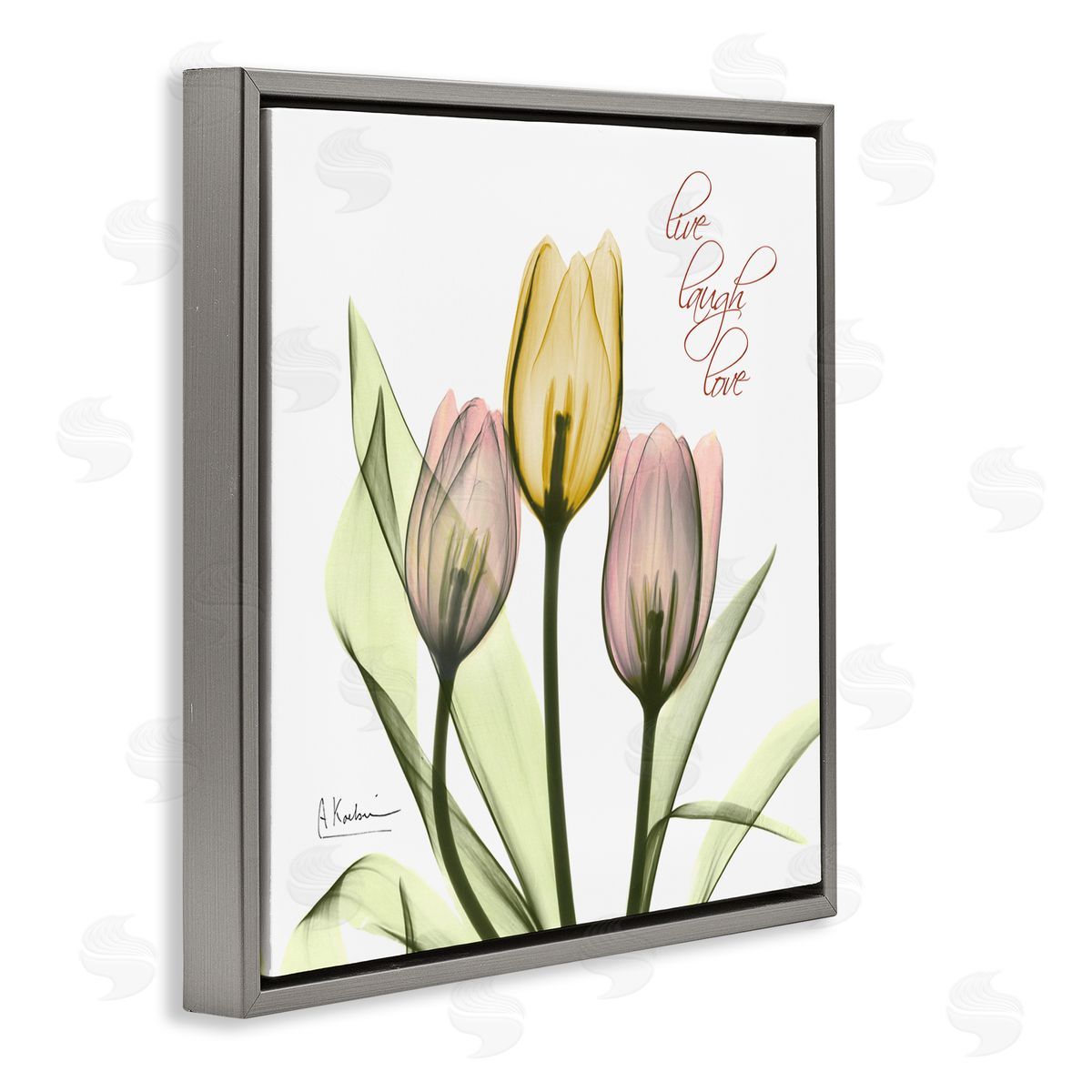 Live Laugh Love Tulips Grey Floating Frame Canvas Wall Art, Home Decor by Albert Koetsier