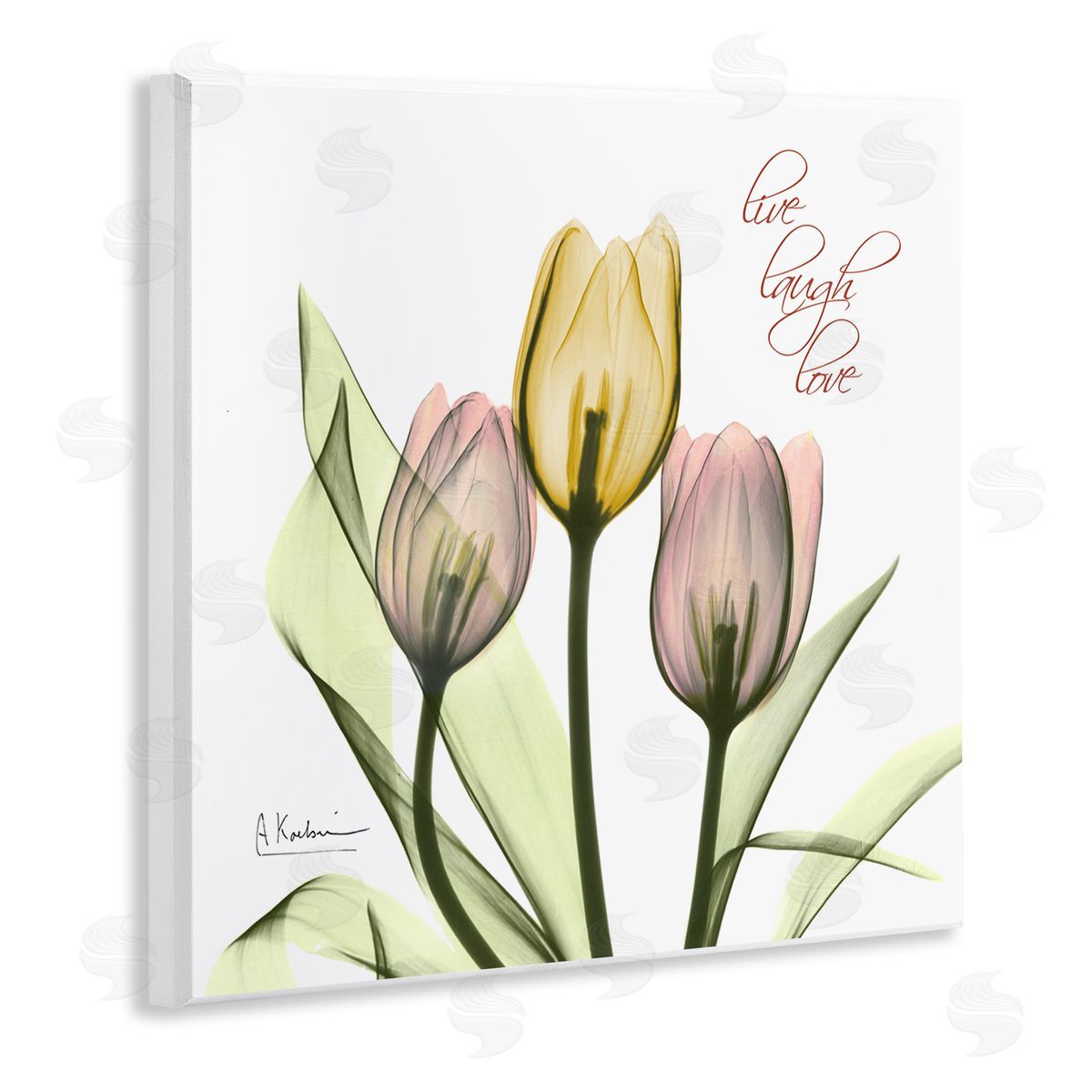 Live Laugh Love Tulips Wood Plaque Wall Art, Home Decor by Albert Koetsier