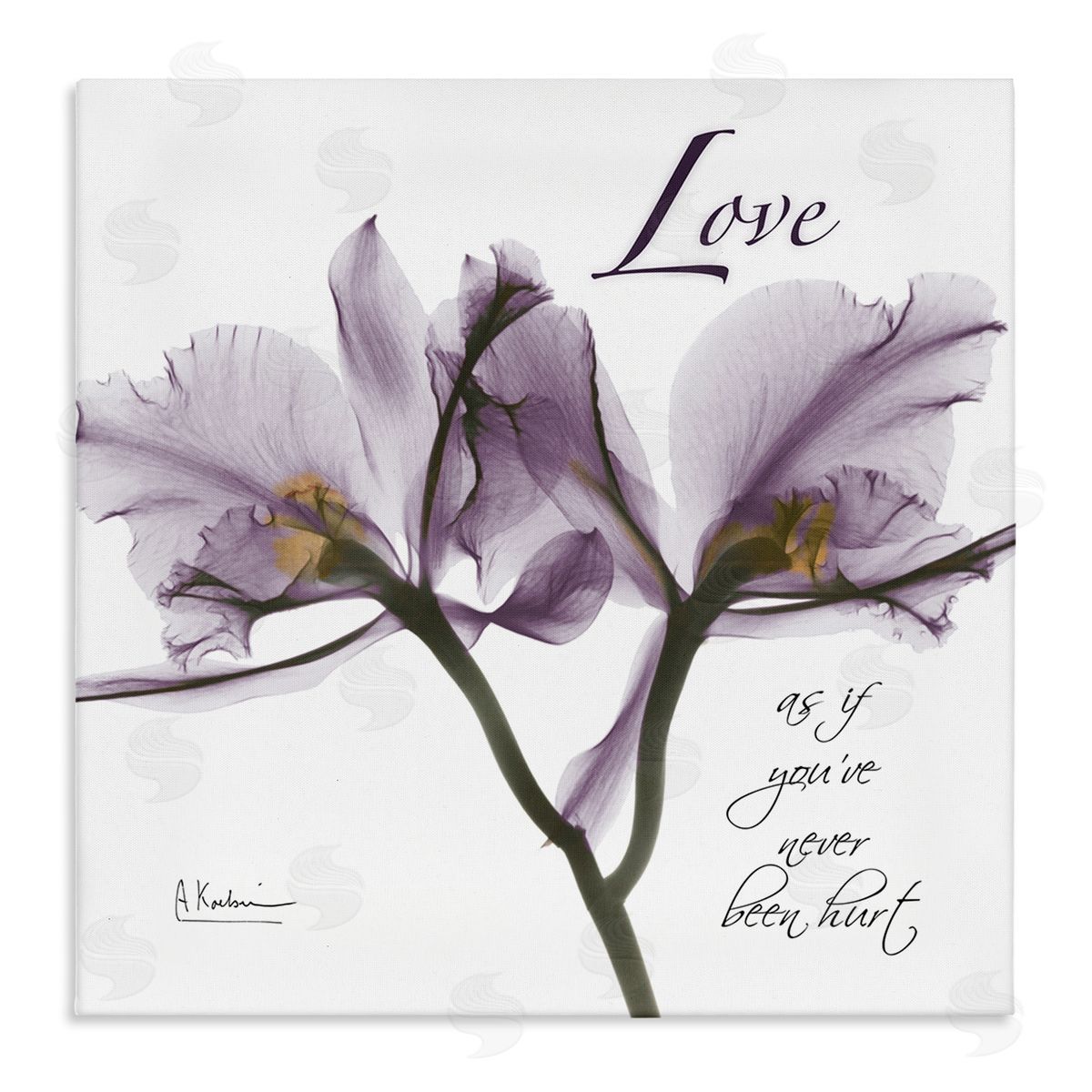 Albert Koetsier Love Like Never Hurt Purple Orchid Canvas Wall Art