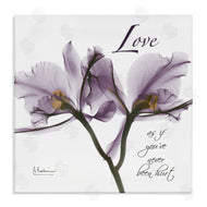 Albert Koetsier | Love Like Never Hurt Purple Orchid