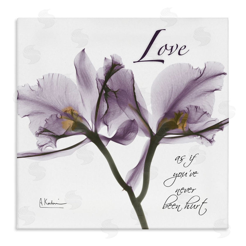 Albert Koetsier | Love Like Never Hurt Purple Orchid