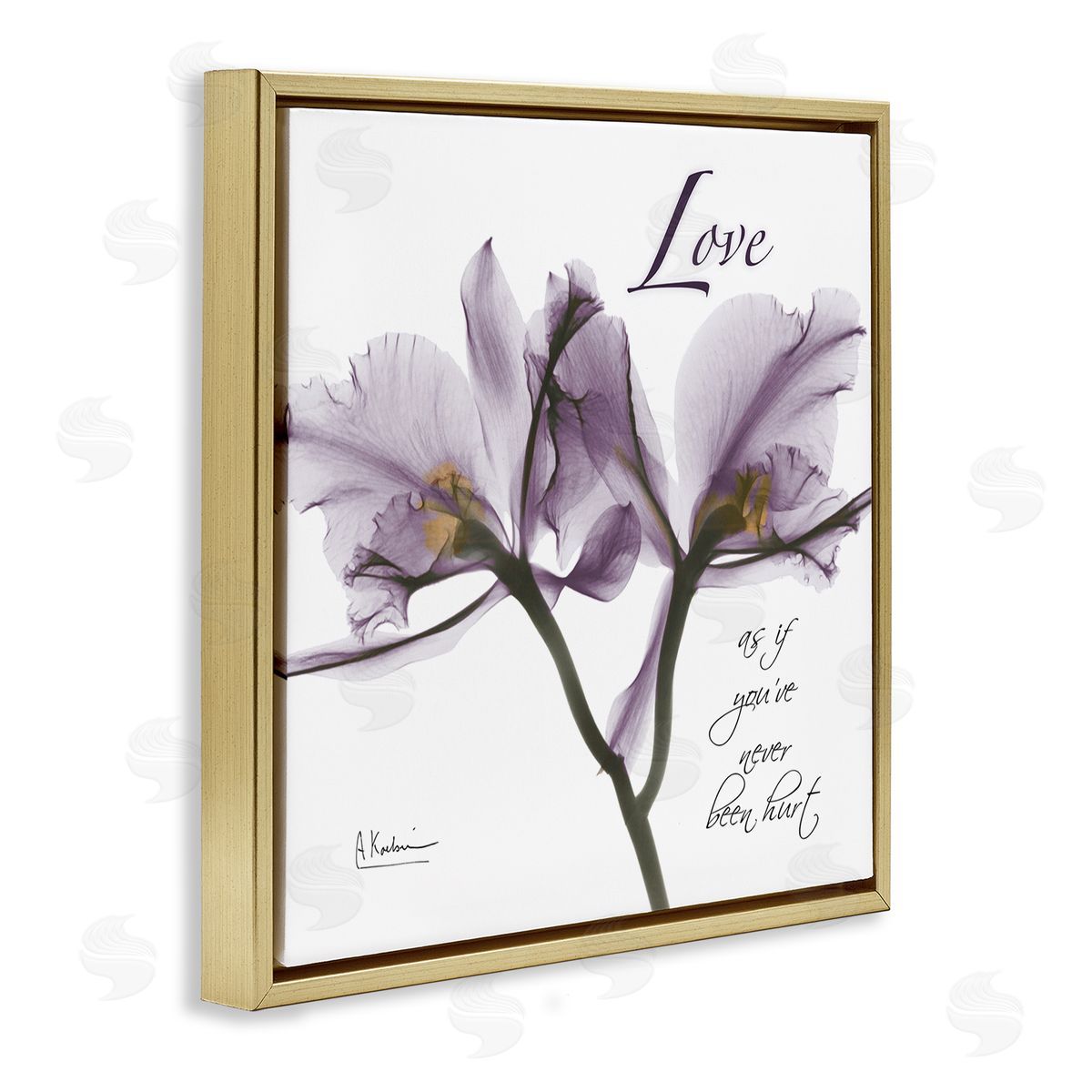 Albert Koetsier Love Like Never Hurt Purple Orchid Gold Floater Frame Canvas Art