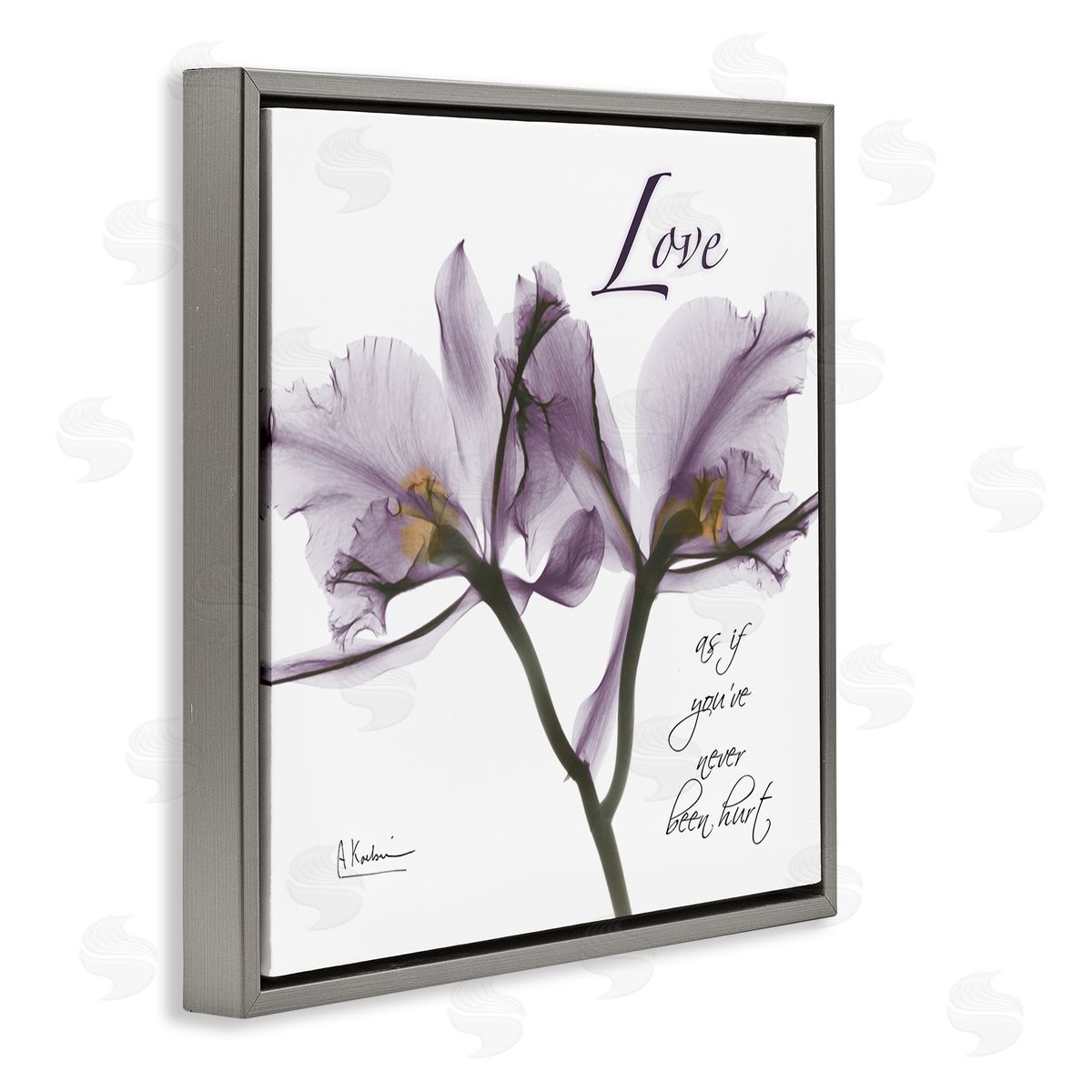 Albert Koetsier Love Like Never Hurt Purple Orchid Gray Floater Frame Canvas Art