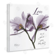 Albert Koetsier | Love Like Never Hurt Purple Orchid