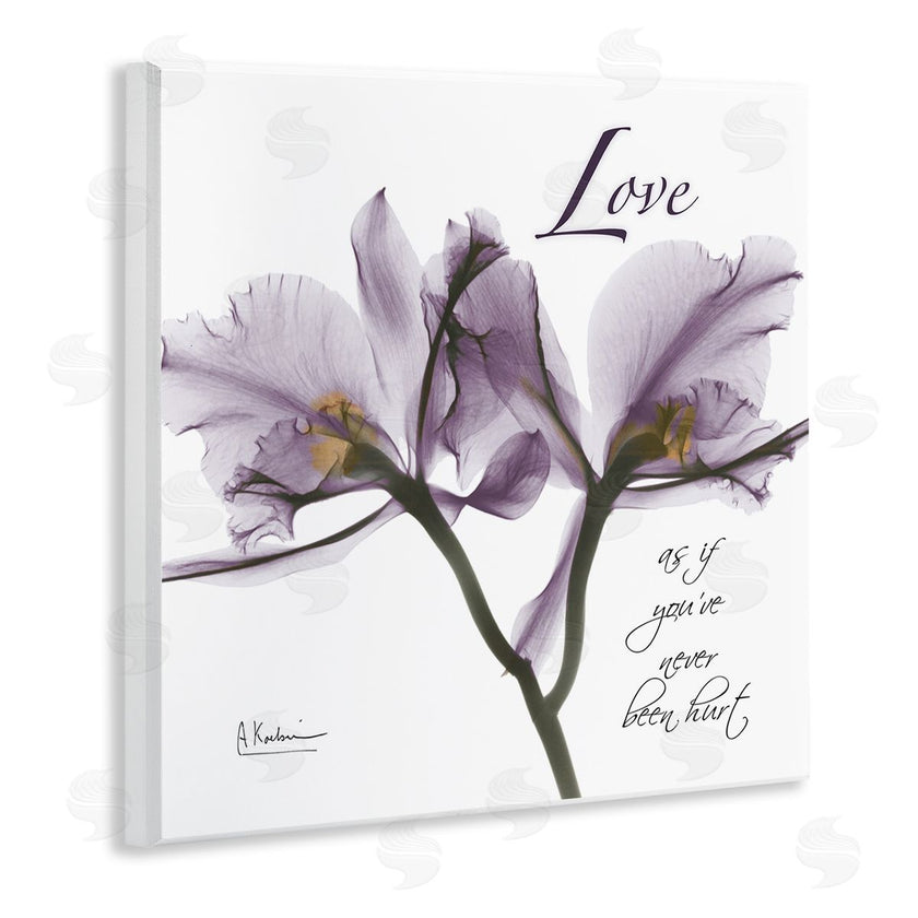 Albert Koetsier | Love Like Never Hurt Purple Orchid