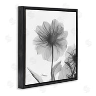 Albert Koetsier | Opaque Dahlia Flower Silhouette