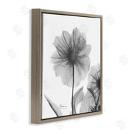 Albert Koetsier | Opaque Dahlia Flower Silhouette