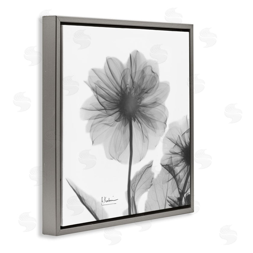 Albert Koetsier | Opaque Dahlia Flower Silhouette