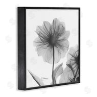 Albert Koetsier | Opaque Dahlia Flower Silhouette