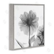 Albert Koetsier | Opaque Dahlia Flower Silhouette