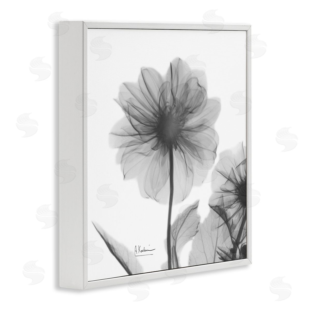 Albert Koetsier Opaque Dahlia Flower Silhouette White Framed Giclee Wall Art