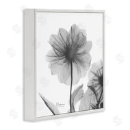 Albert Koetsier | Opaque Dahlia Flower Silhouette