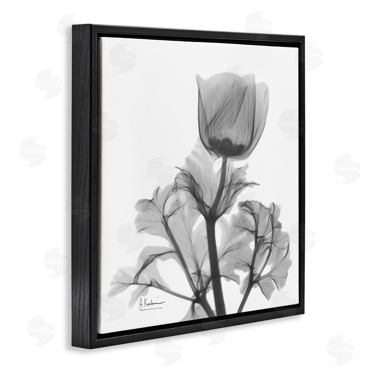 Albert Koetsier Opaque Anemone Floral Minimal Silhouette Black Floater Frame Canvas Art
