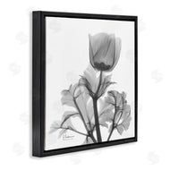 Albert Koetsier | Opaque Anemone Floral Minimal Silhouette
