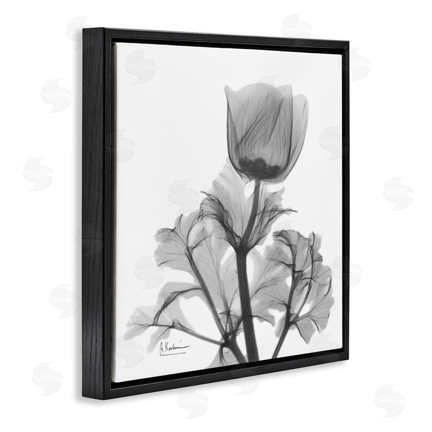 Albert Koetsier | Opaque Anemone Floral Minimal Silhouette