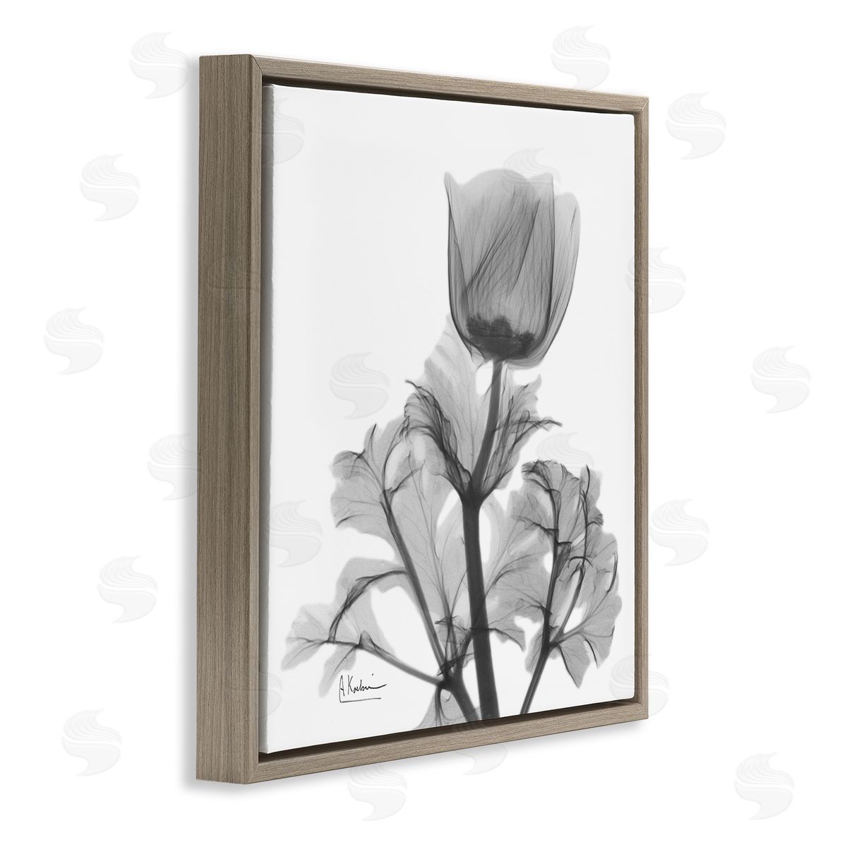 Albert Koetsier Opaque Anemone Floral Minimal Silhouette Brown Floater Frame Canvas Art