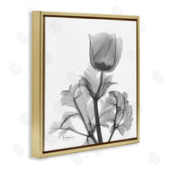 Albert Koetsier | Opaque Anemone Floral Minimal Silhouette