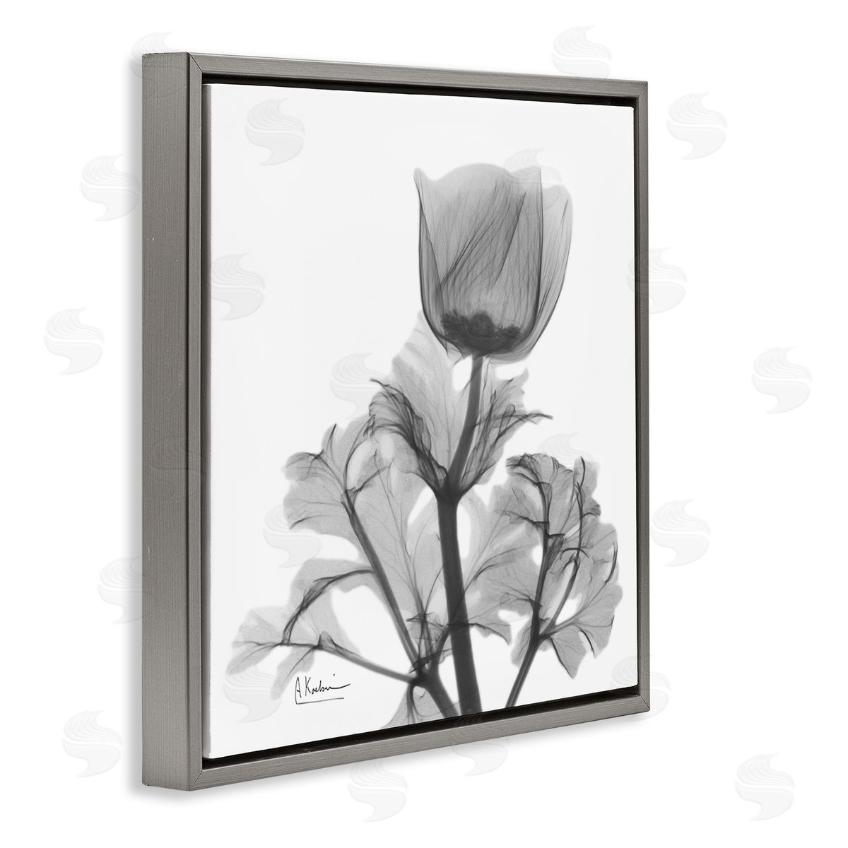 Albert Koetsier Opaque Anemone Floral Minimal Silhouette Gray Floater Frame Canvas Art