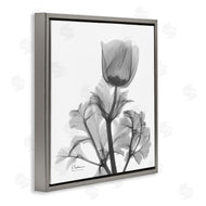 Albert Koetsier | Opaque Anemone Floral Minimal Silhouette