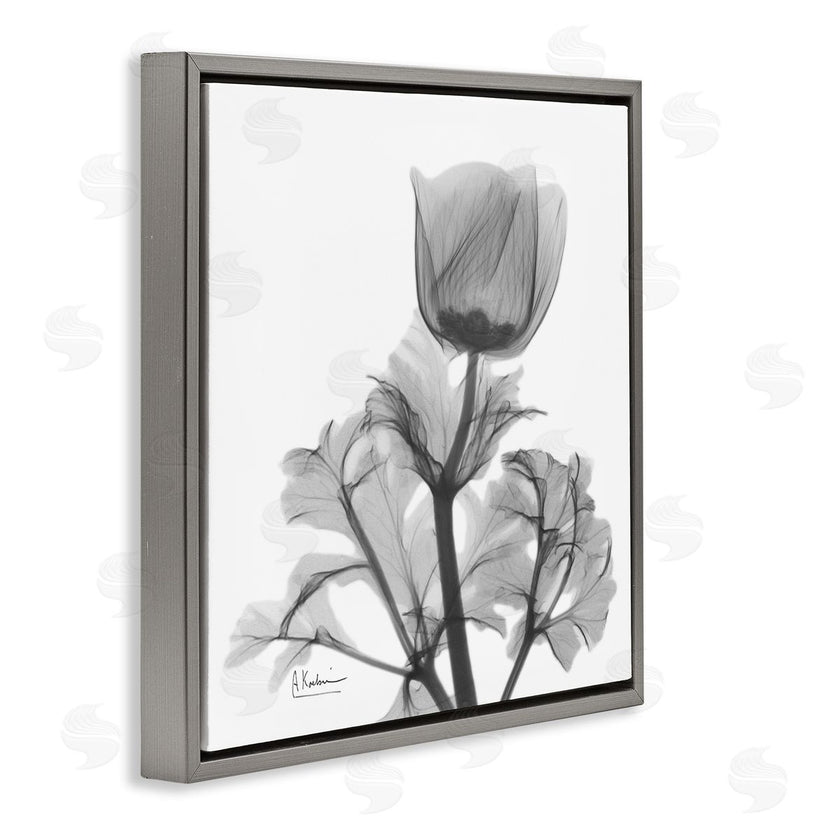 Albert Koetsier | Opaque Anemone Floral Minimal Silhouette