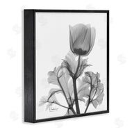 Albert Koetsier | Opaque Anemone Floral Minimal Silhouette
