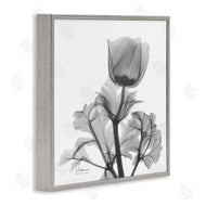 Albert Koetsier | Opaque Anemone Floral Minimal Silhouette