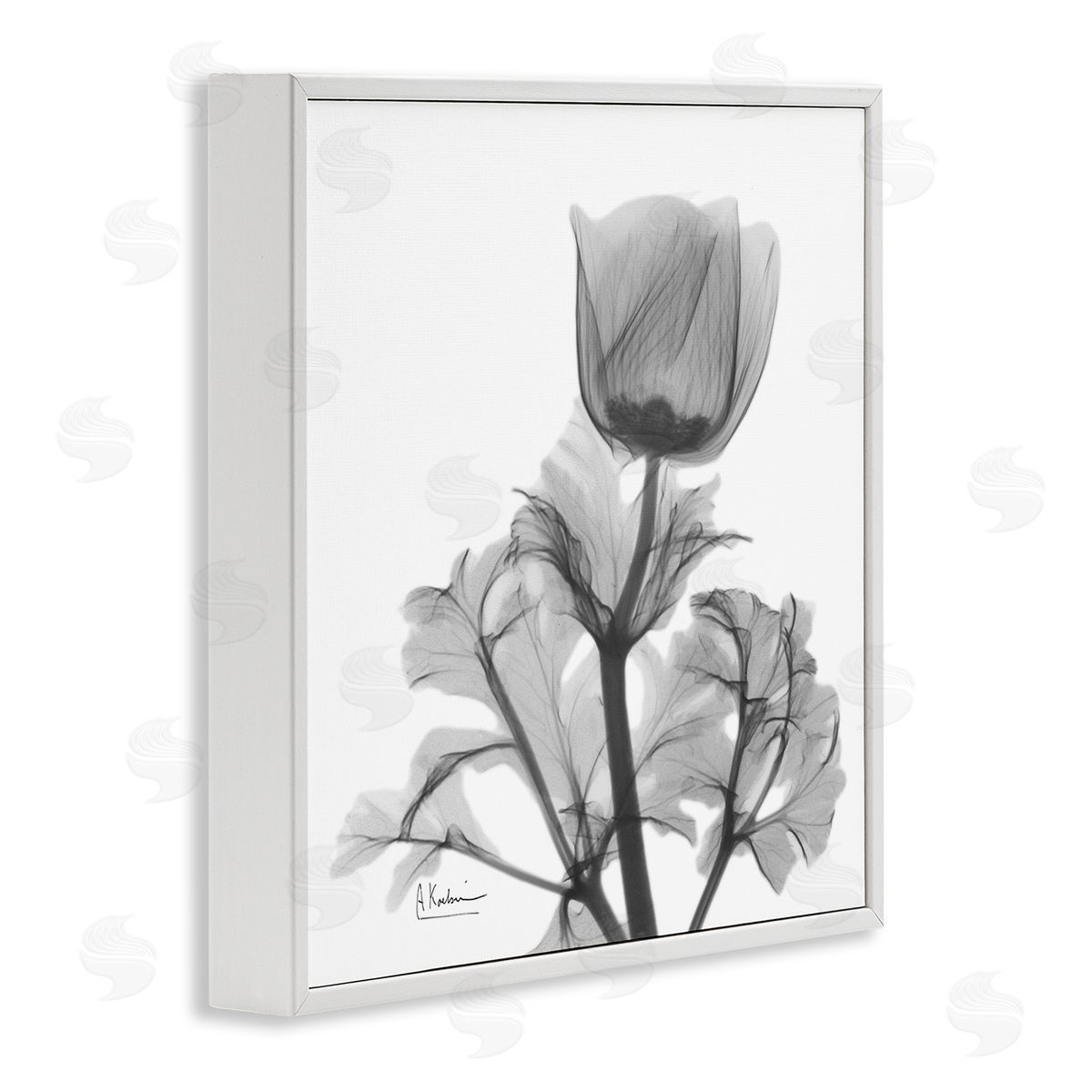 Albert Koetsier Opaque Anemone Floral Minimal Silhouette White Framed Giclee Wall Art