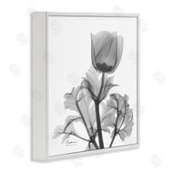 Albert Koetsier | Opaque Anemone Floral Minimal Silhouette