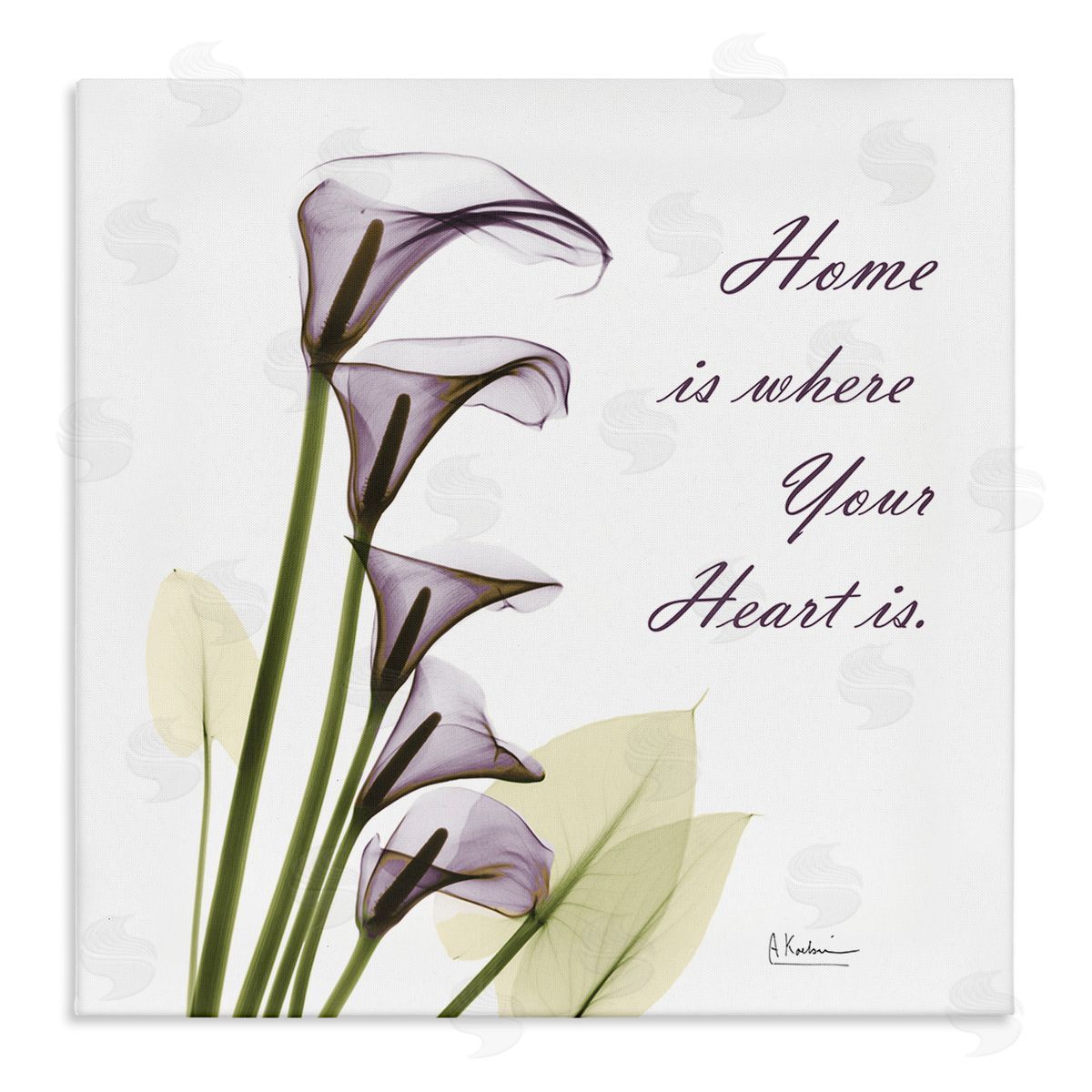 Albert Koetsier Home Where Heart Is Calla Lillies Canvas Wall Art