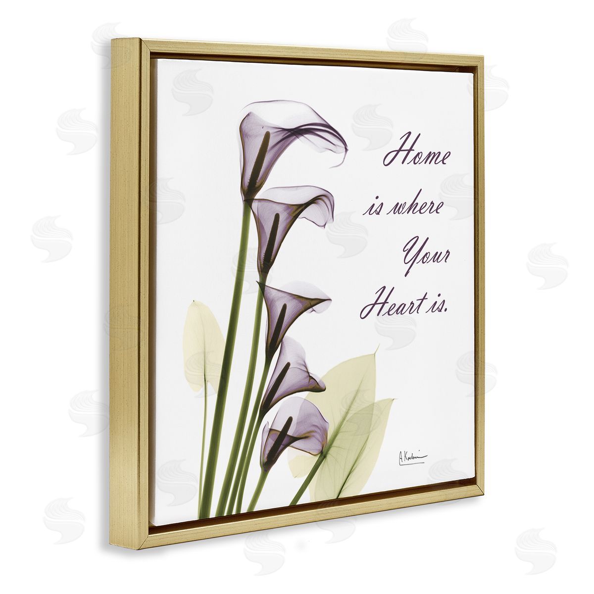 Albert Koetsier Home Where Heart Is Calla Lillies Gold Floater Frame Canvas Art