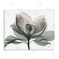 Albert Koetsier | White Magnolia Flower Green Silhouette