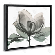 Albert Koetsier | White Magnolia Flower Green Silhouette
