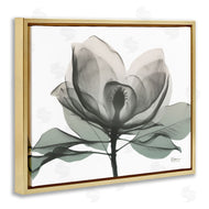 Albert Koetsier | White Magnolia Flower Green Silhouette