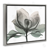 Albert Koetsier | White Magnolia Flower Green Silhouette