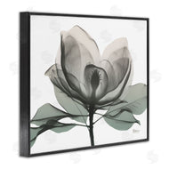 Albert Koetsier | White Magnolia Flower Green Silhouette