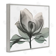 Albert Koetsier | White Magnolia Flower Green Silhouette