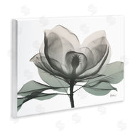 Albert Koetsier | White Magnolia Flower Green Silhouette